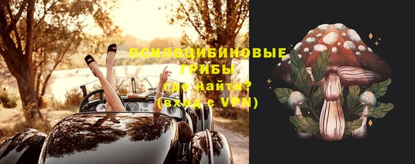 прущие грибы Алзамай