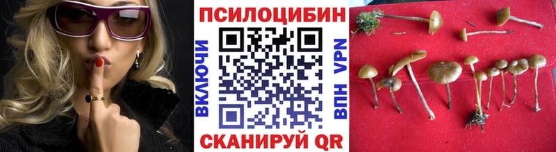 Галлюциногенные грибы MAGIC MUSHROOMS  Купить  Кандалакша 